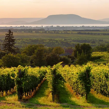 In 19297 * Balatonmáriafürdő