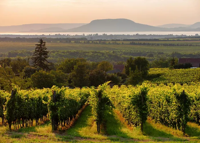 In 19297 * Balatonmariafurdo